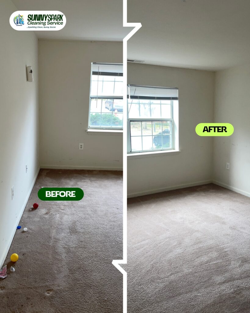 carpet and upholstery cleaning services in Baltimore